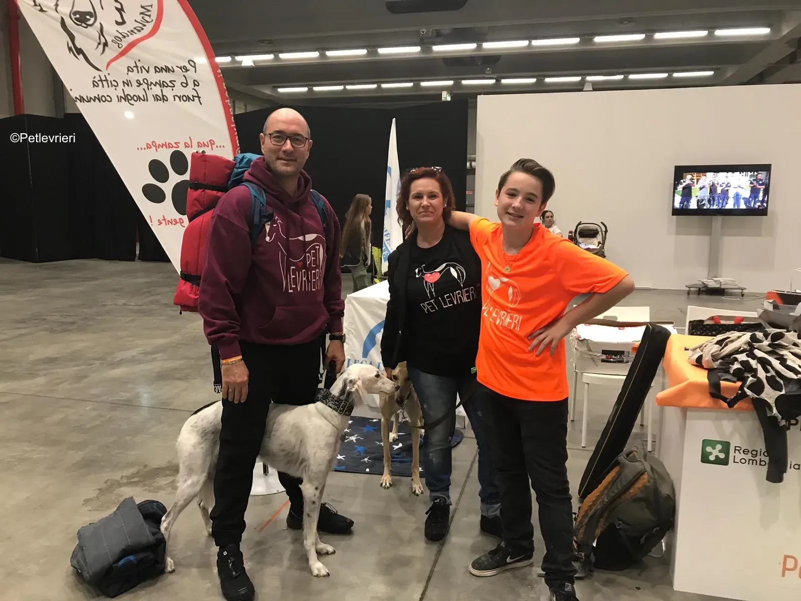 Pet Levrieri PetsInTheCity 34