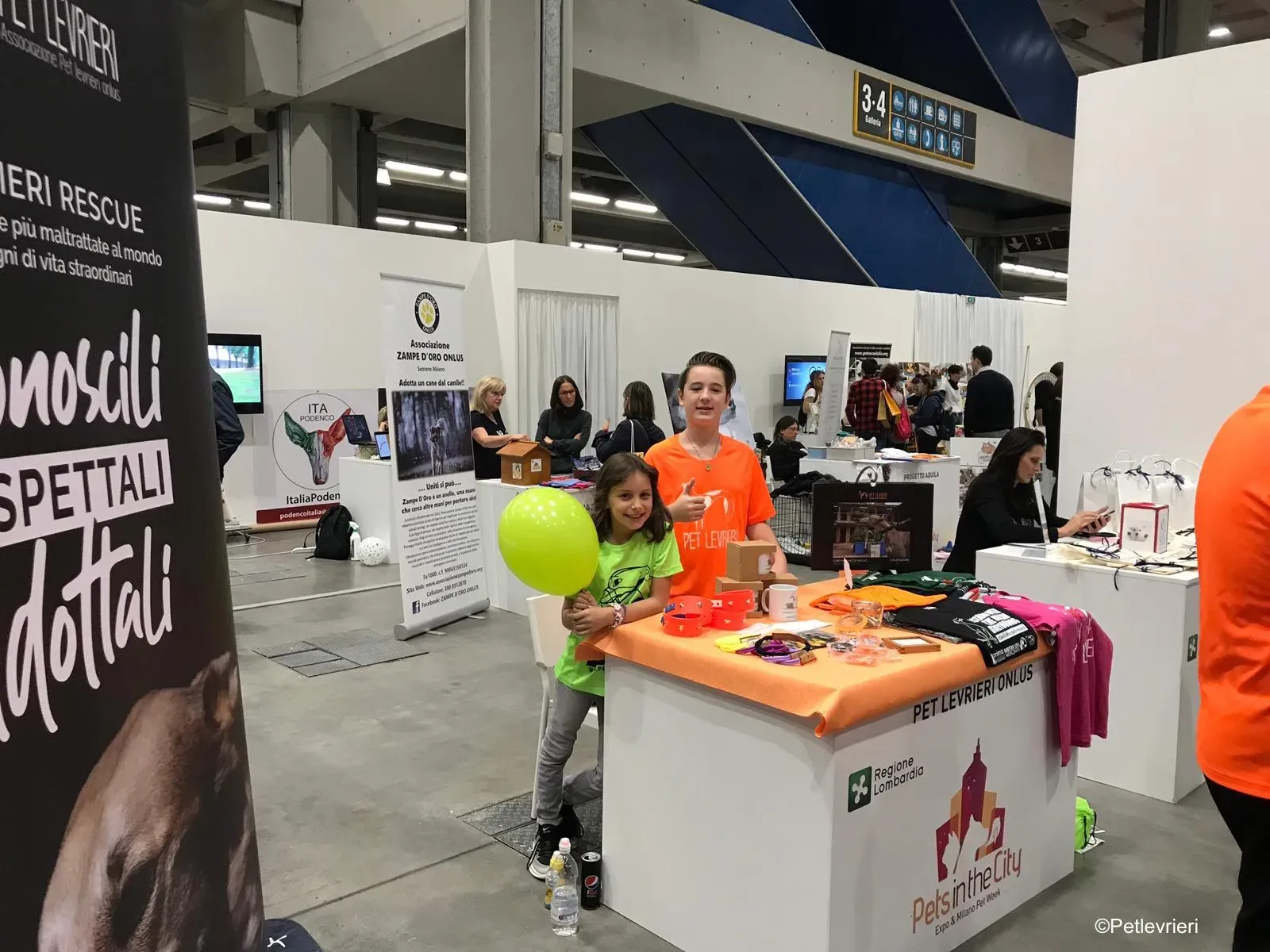 Pet Levrieri PetsInTheCity 35