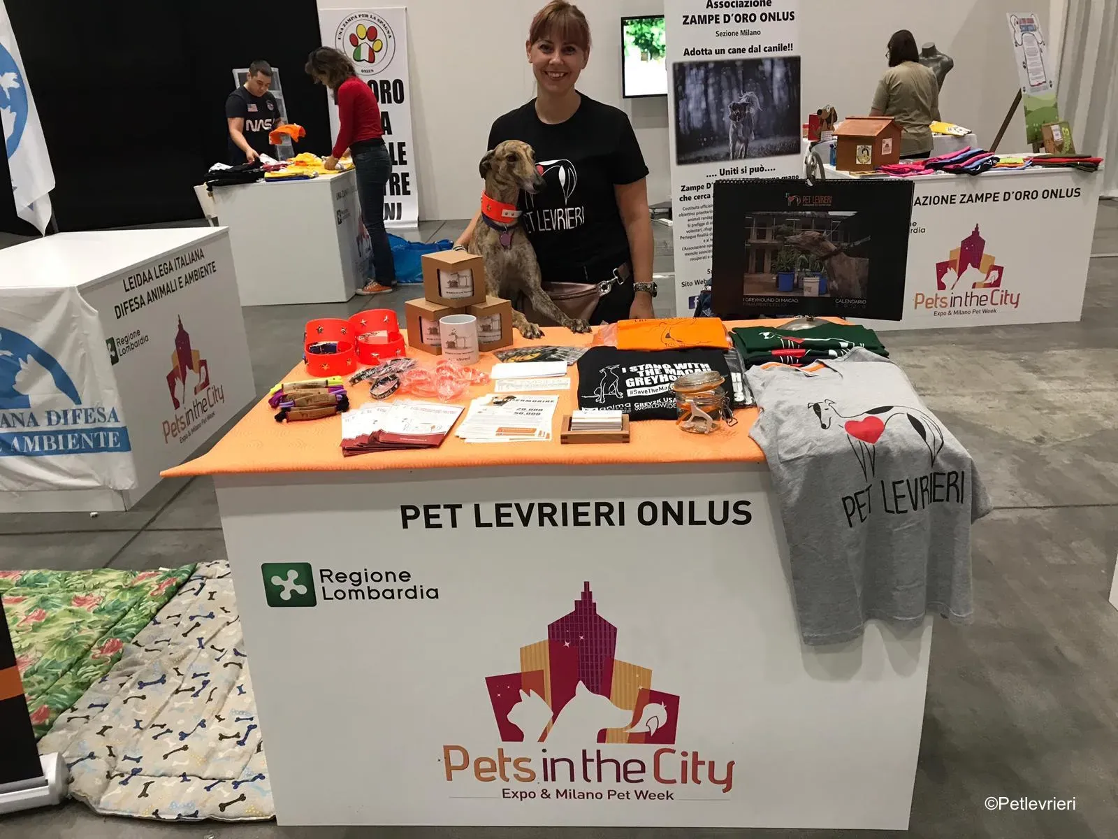Pet Levrieri PetsInTheCity 4
