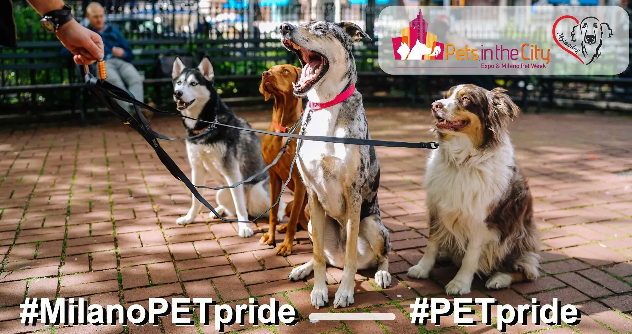 PetPride