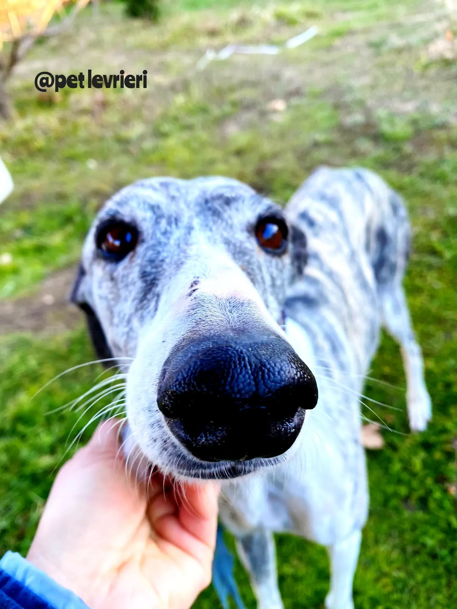 Polish 20220125 134347666