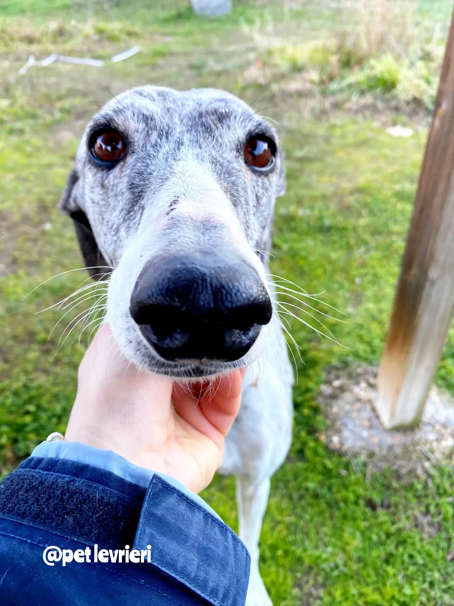 Polish 20220125 134625917