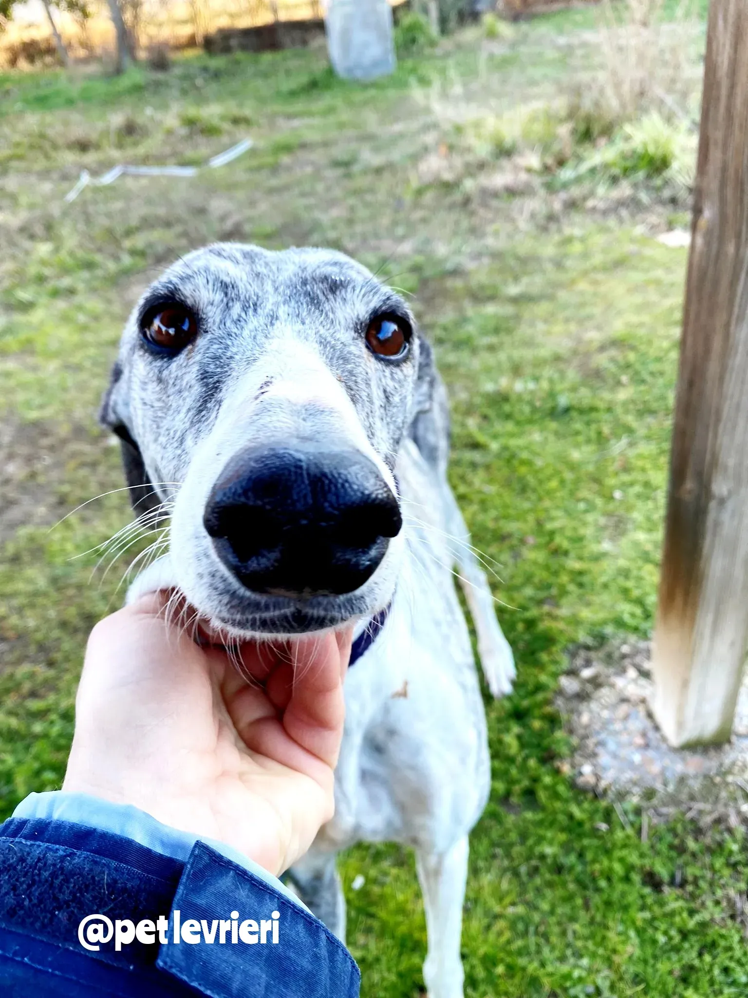 Polish 20220125 134912652