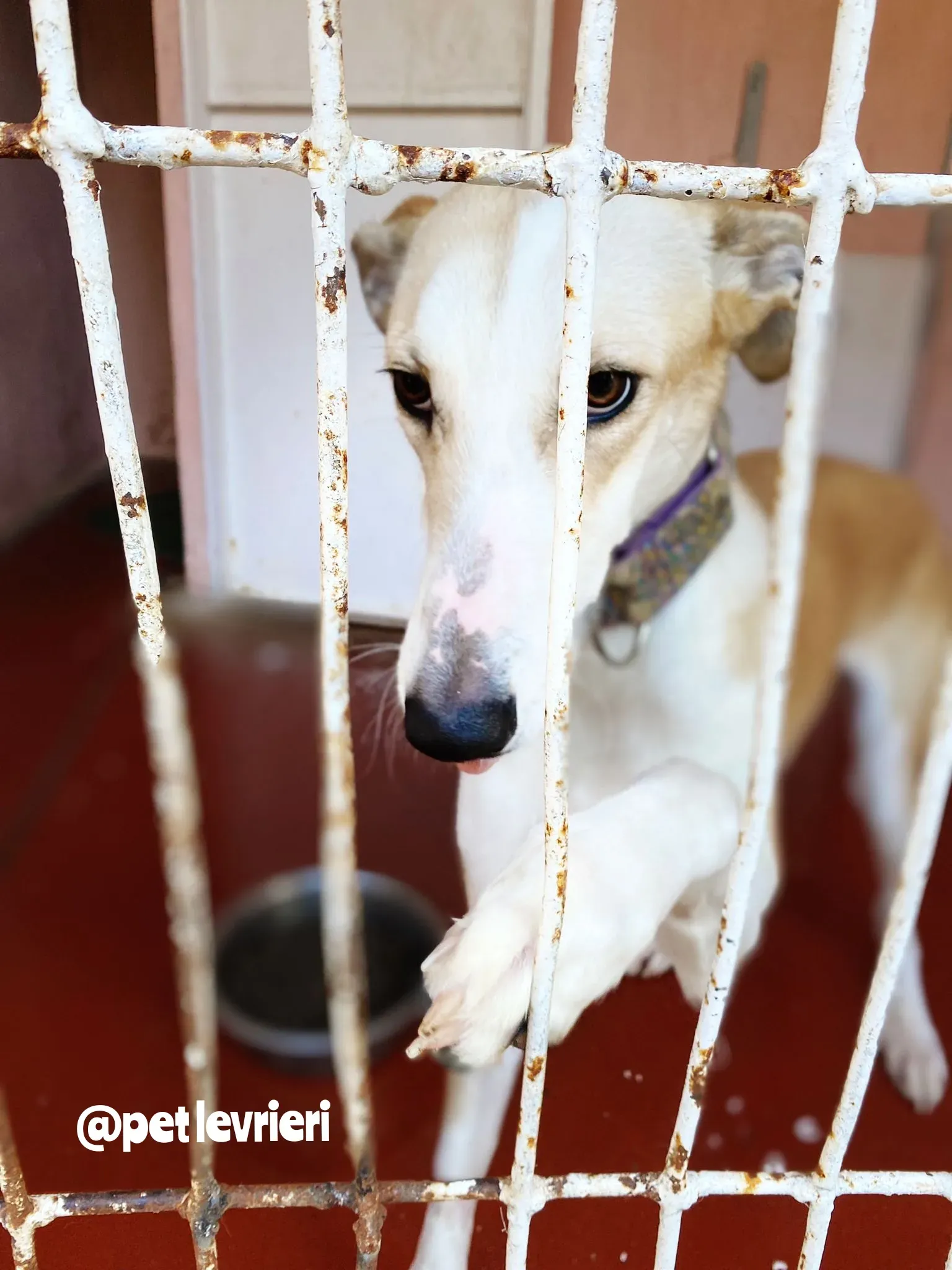 Polish 20220125 140608703