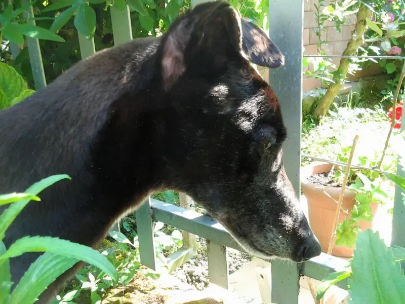 Prima uscita in giardino