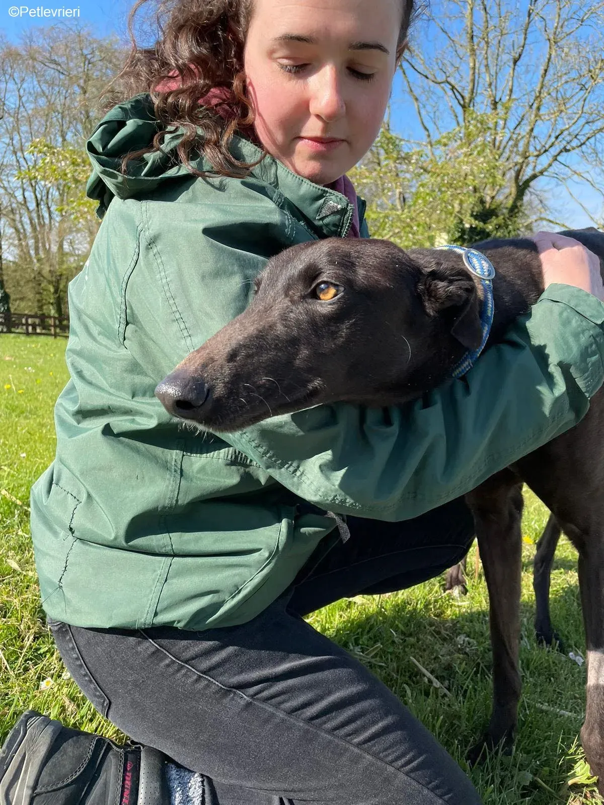 Raven adozione levrieri greyhound 6