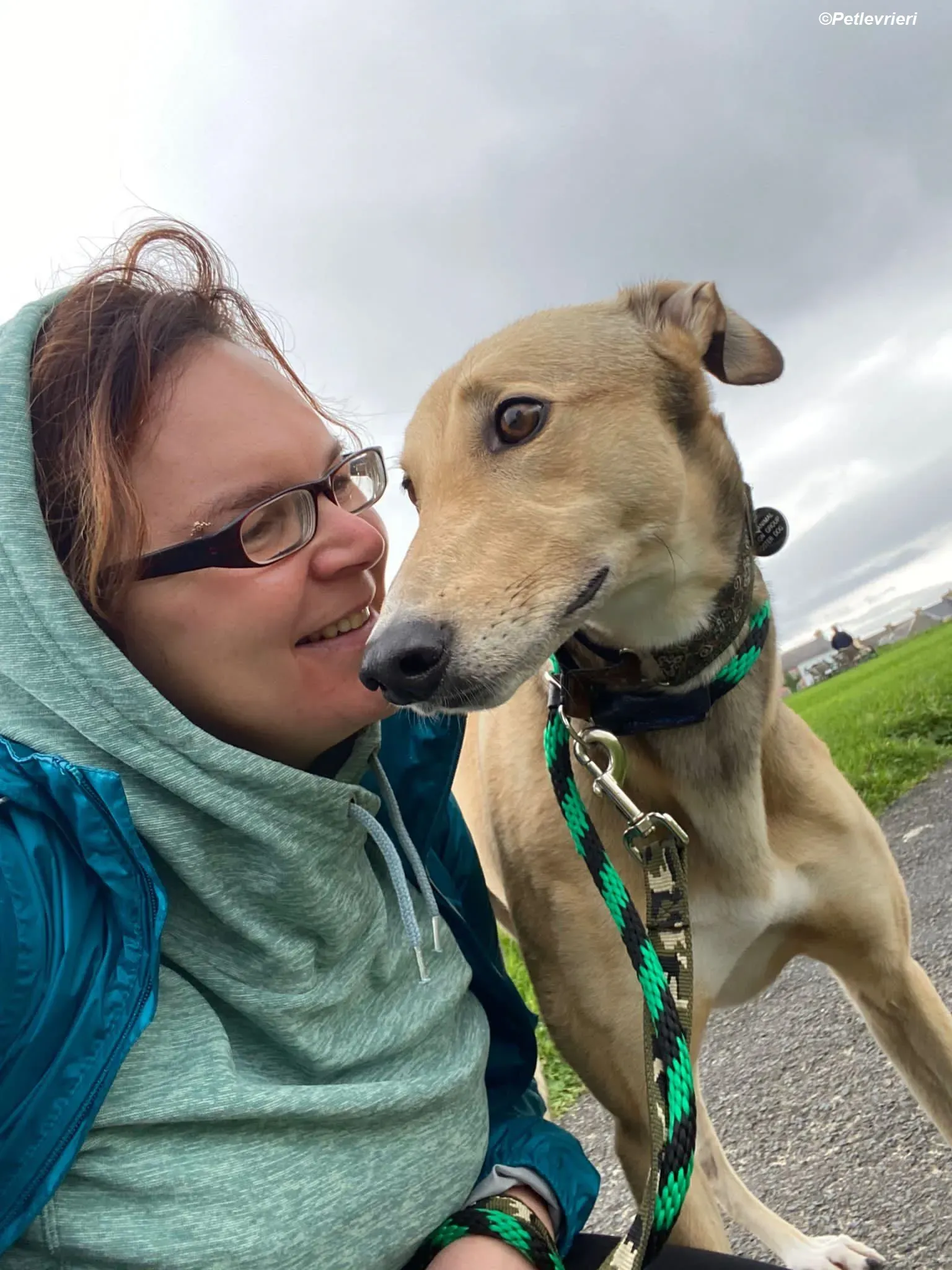 Raya adozione levrieri greyhound 8