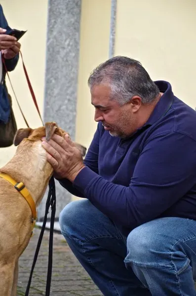Red John lurcher in foster con Osvaldo