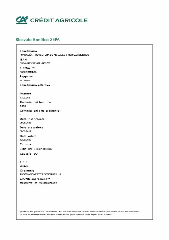 RicevutaBonificoSepa1652158543484 1
