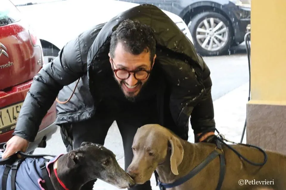 Ringing Hot adozione greyhound macao 33