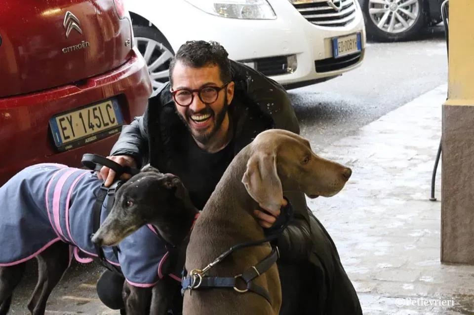 Ringing Hot adozione greyhound macao 36