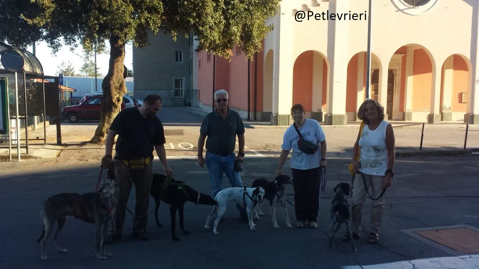 Rond Petlevrieri Adozione Levrieri Foster 4