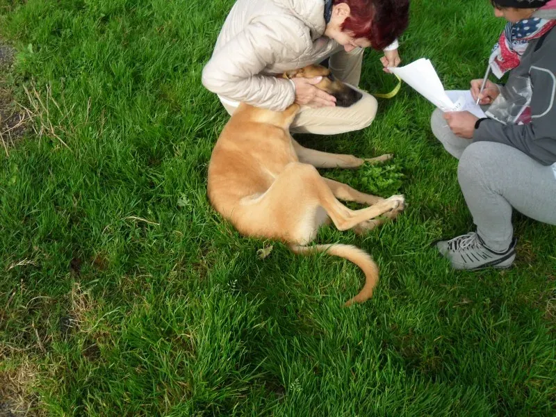 SAM 2407 e1413894338869