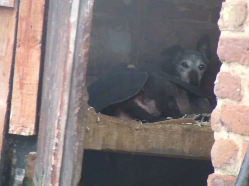 SANY0014.jpgoriginal