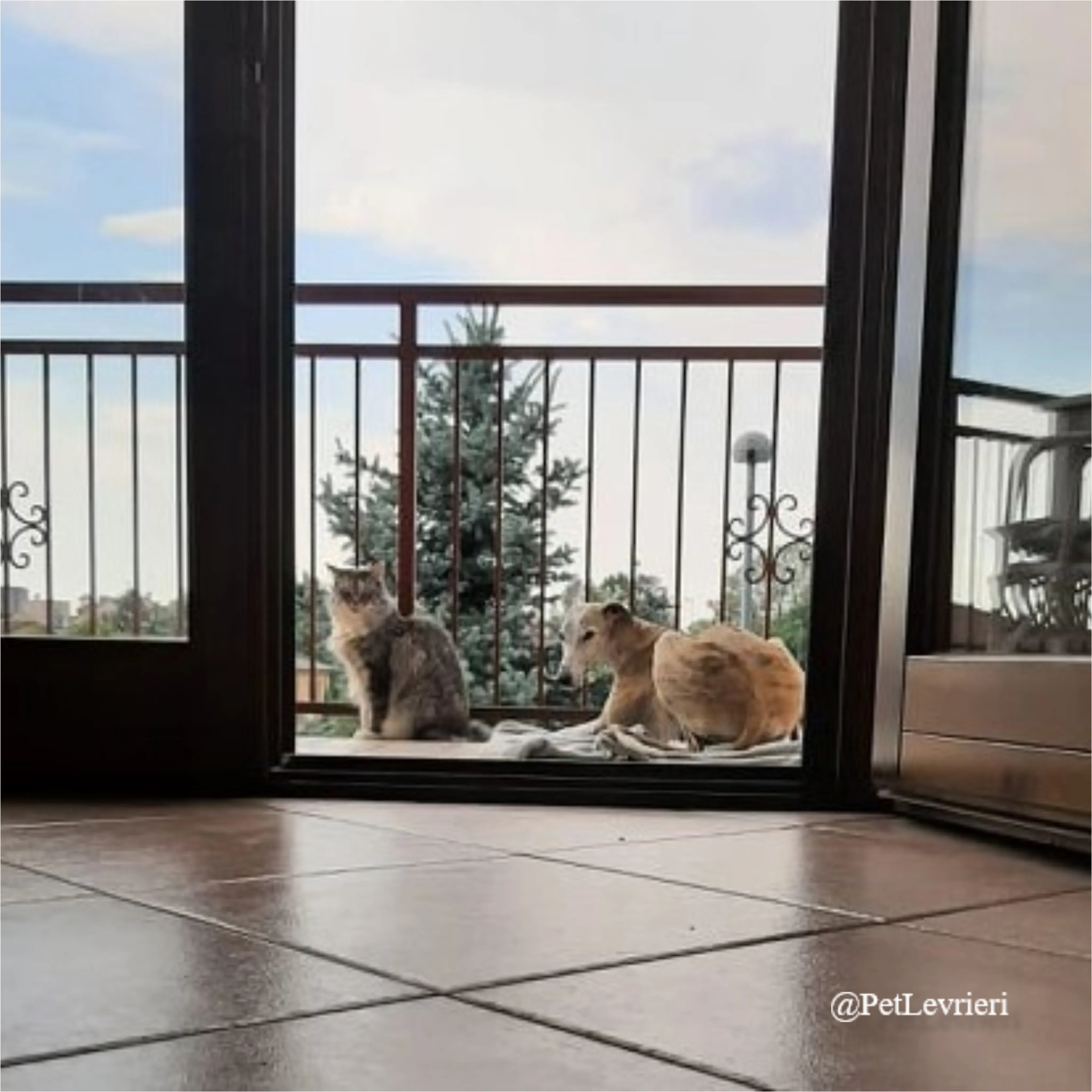 SH10New Phototastic Collage