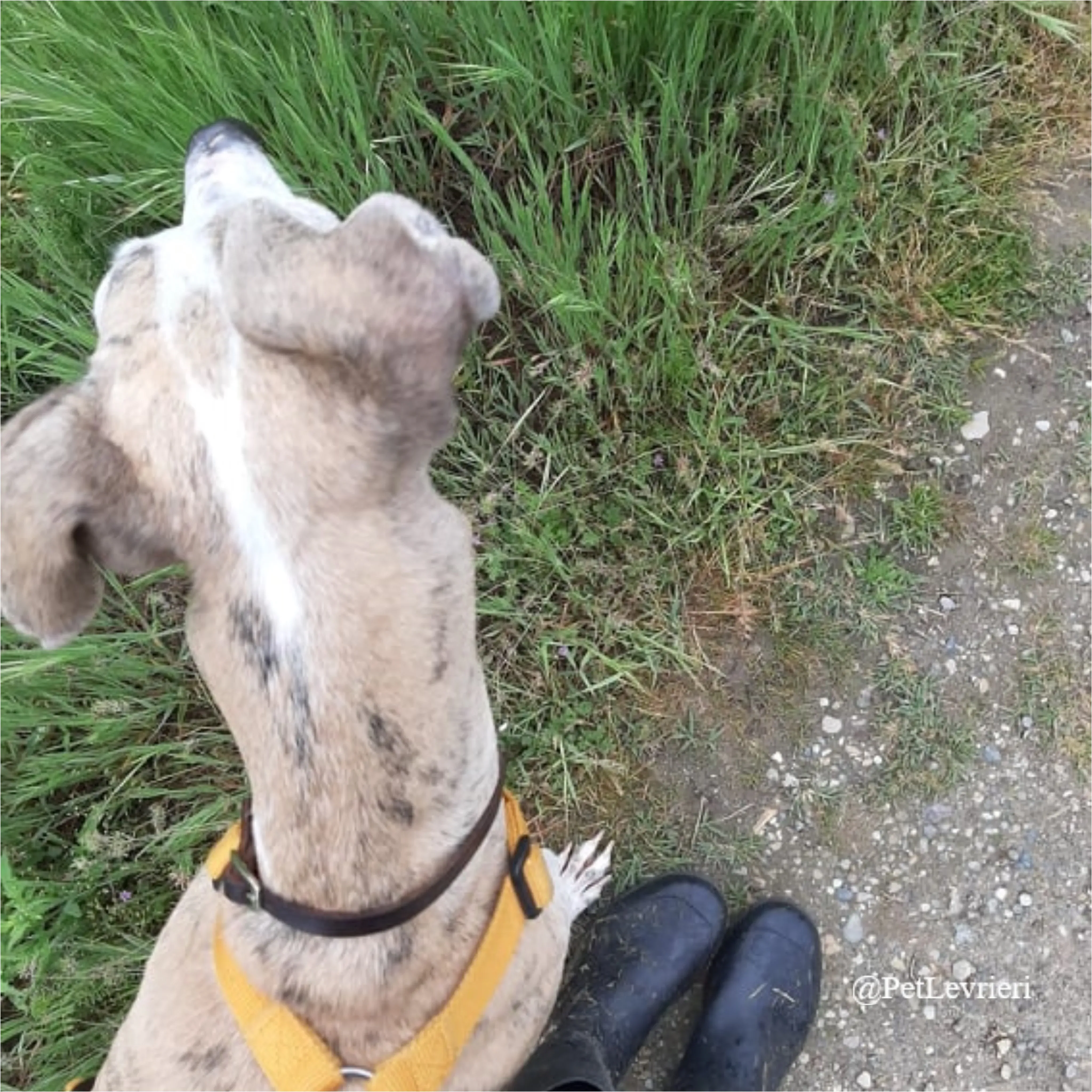 SH11New Phototastic Collage