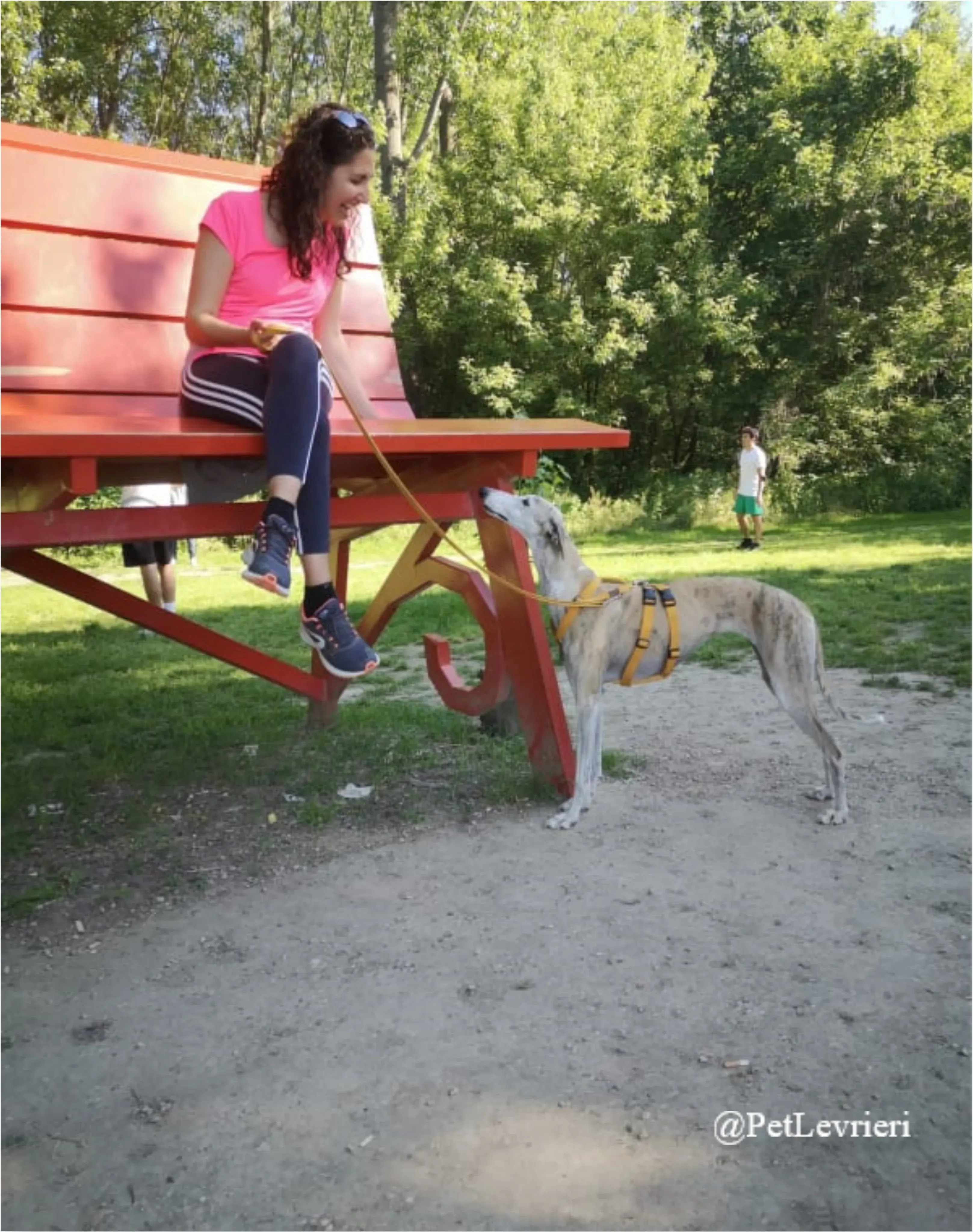 SH12New Phototastic Collage