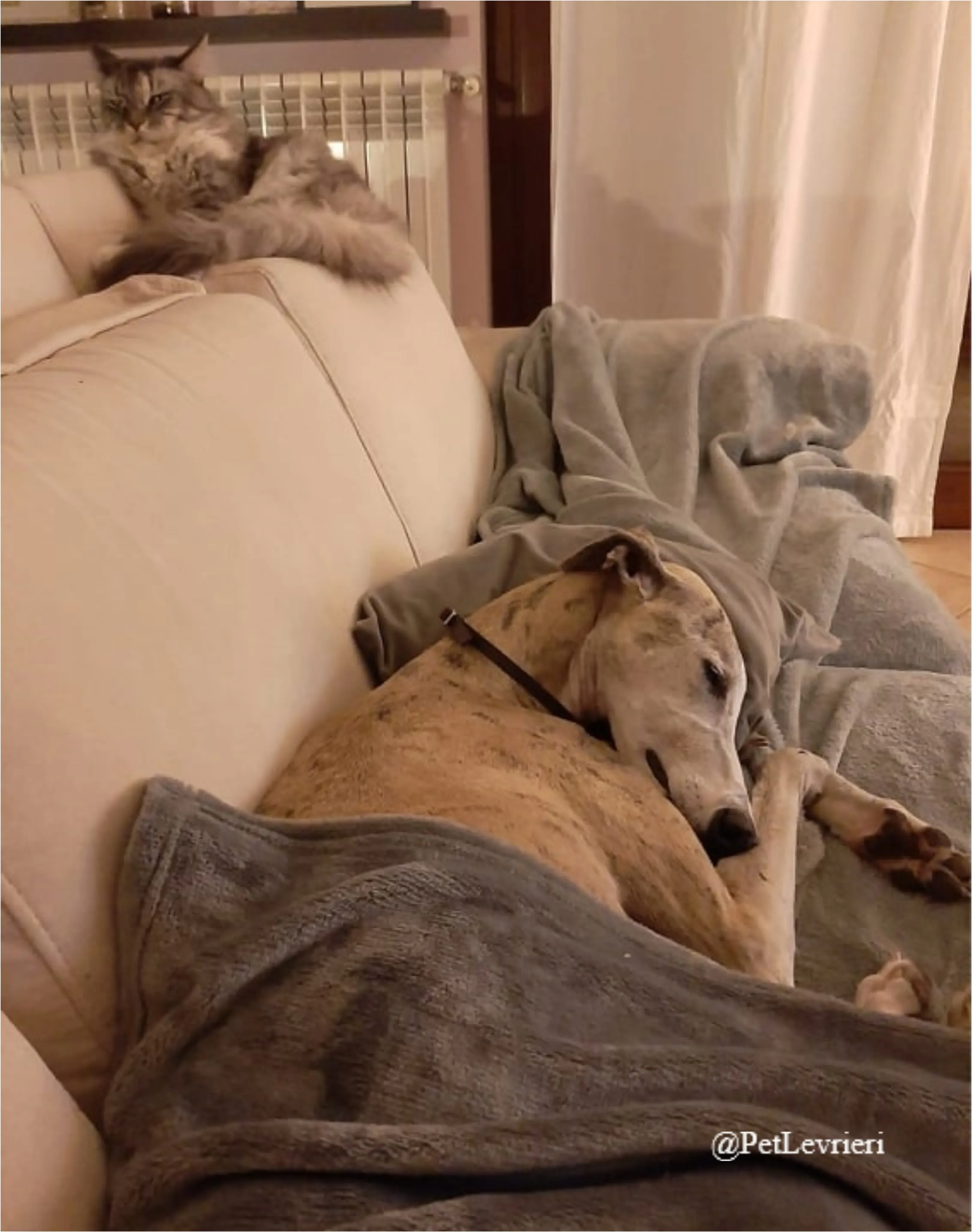 SH14New Phototastic Collage