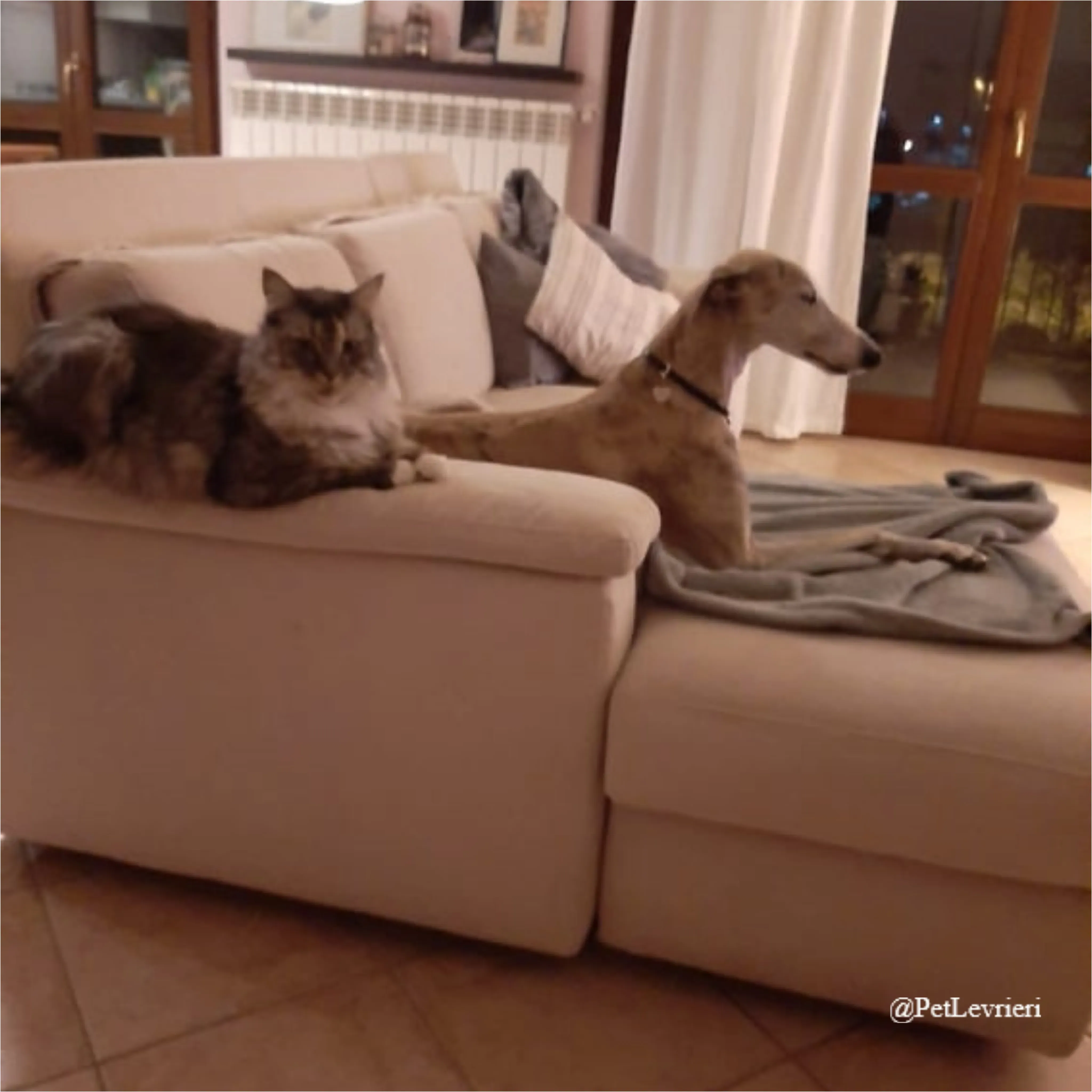 SH15New Phototastic Collage