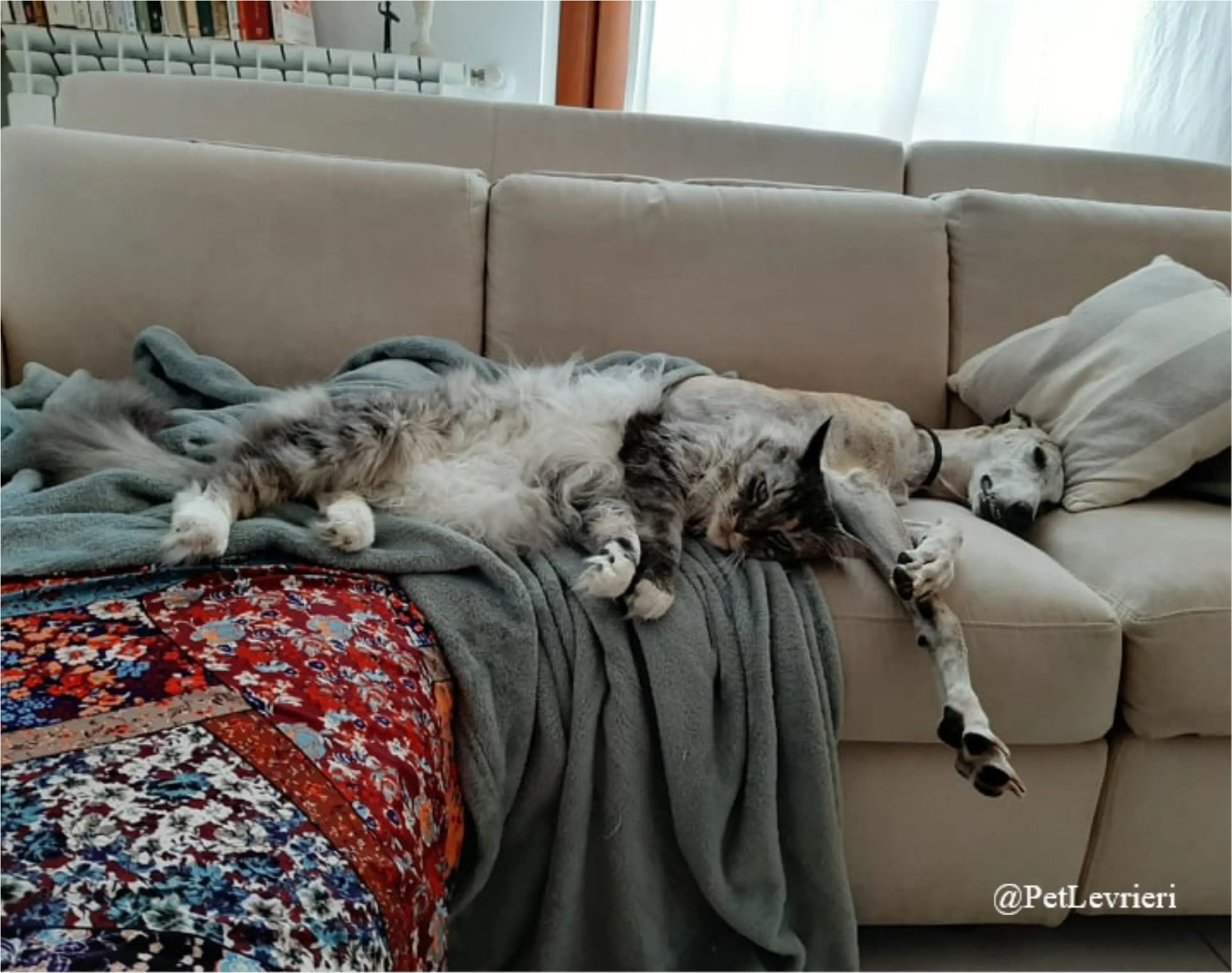 SH17New Phototastic Collage