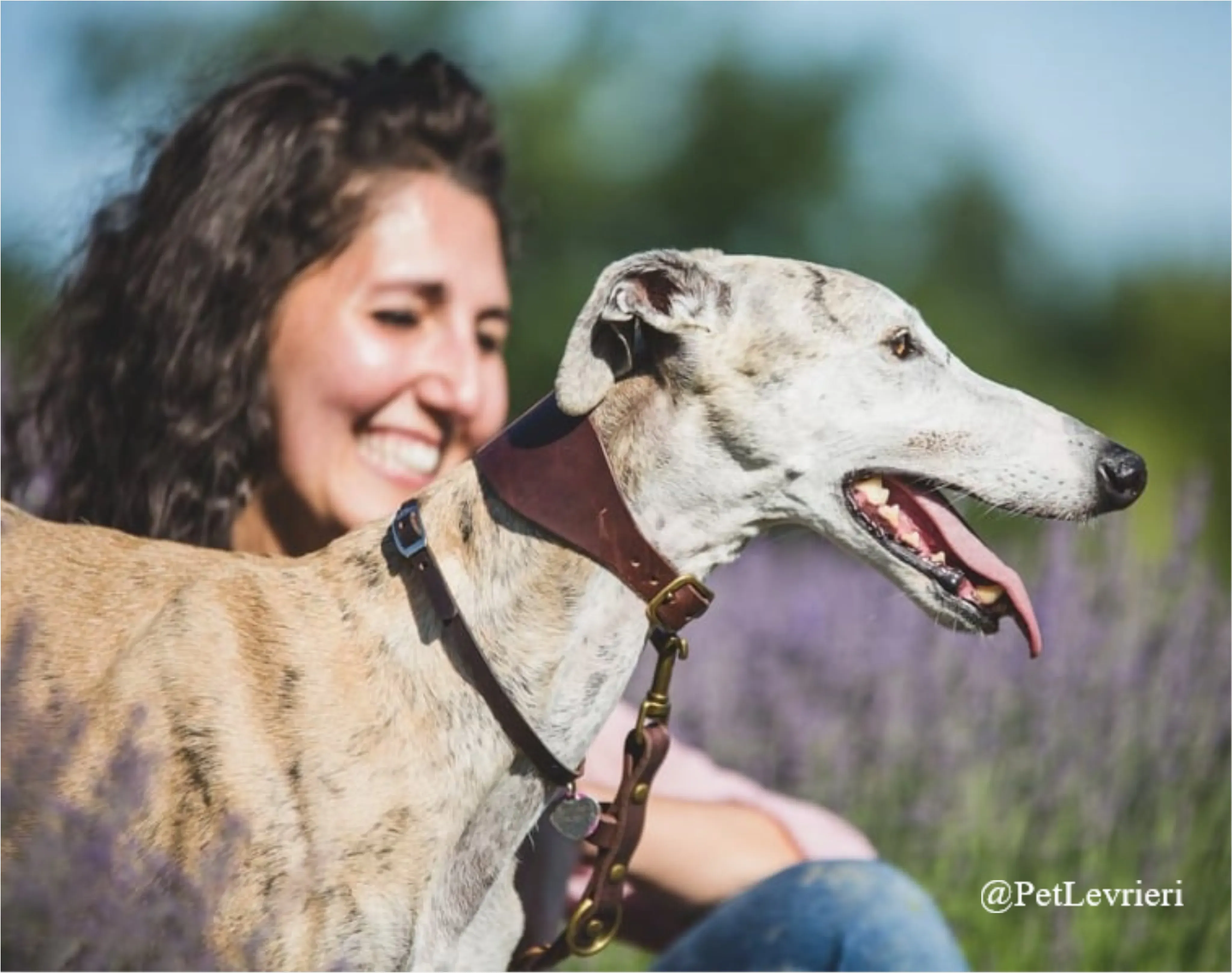 SH1New Phototastic Collage 1