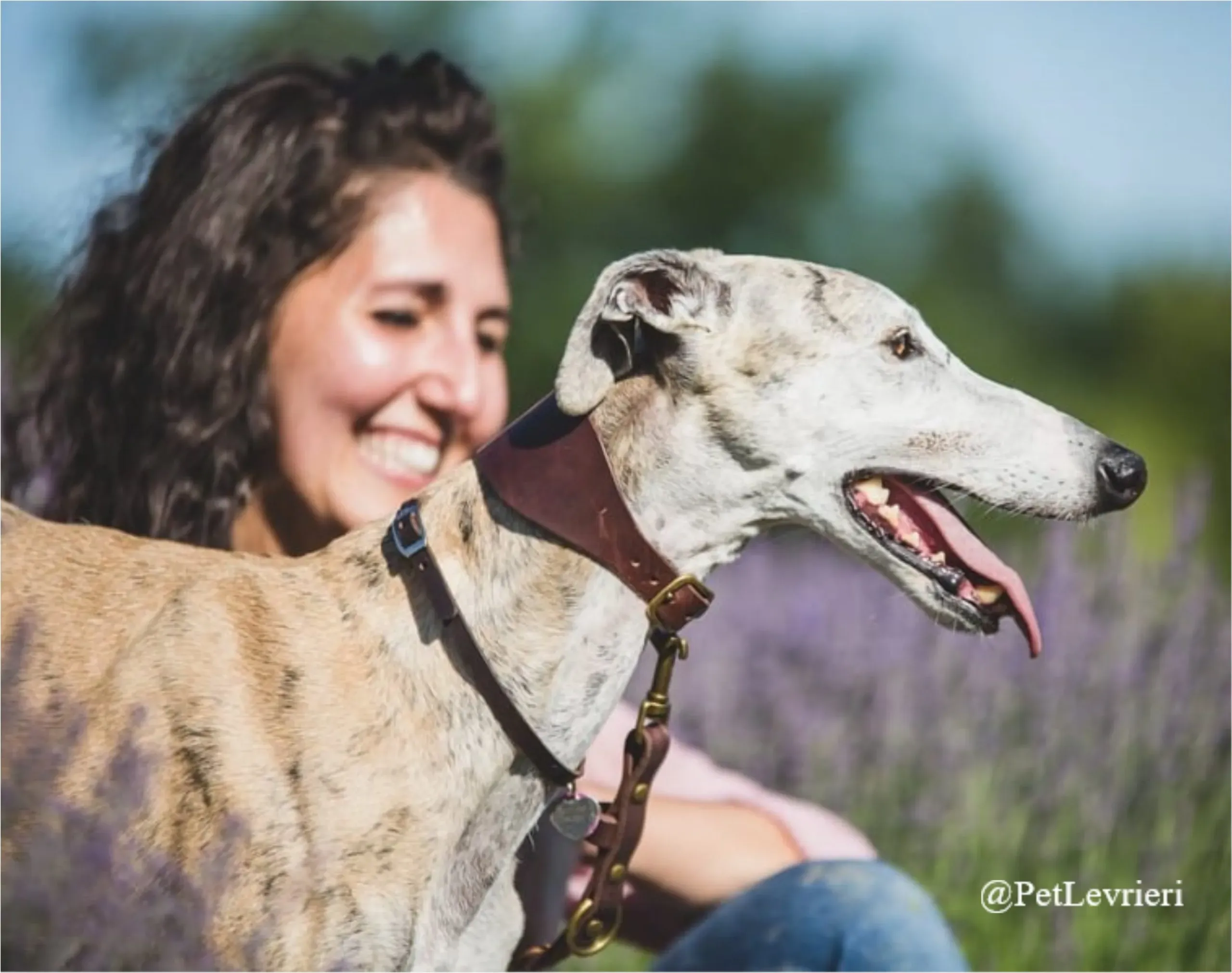 SH1New Phototastic Collage scaled