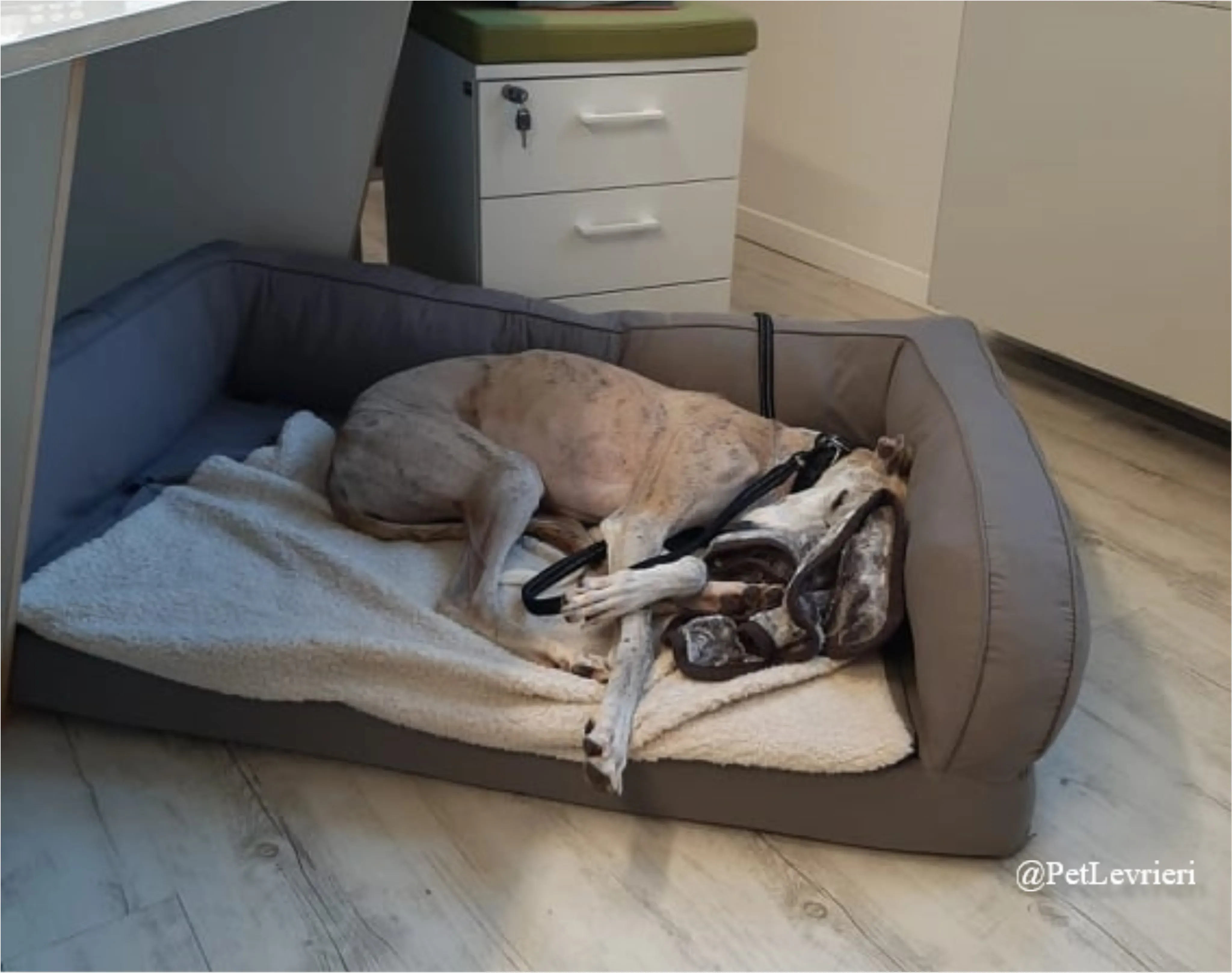 SH4New Phototastic Collage