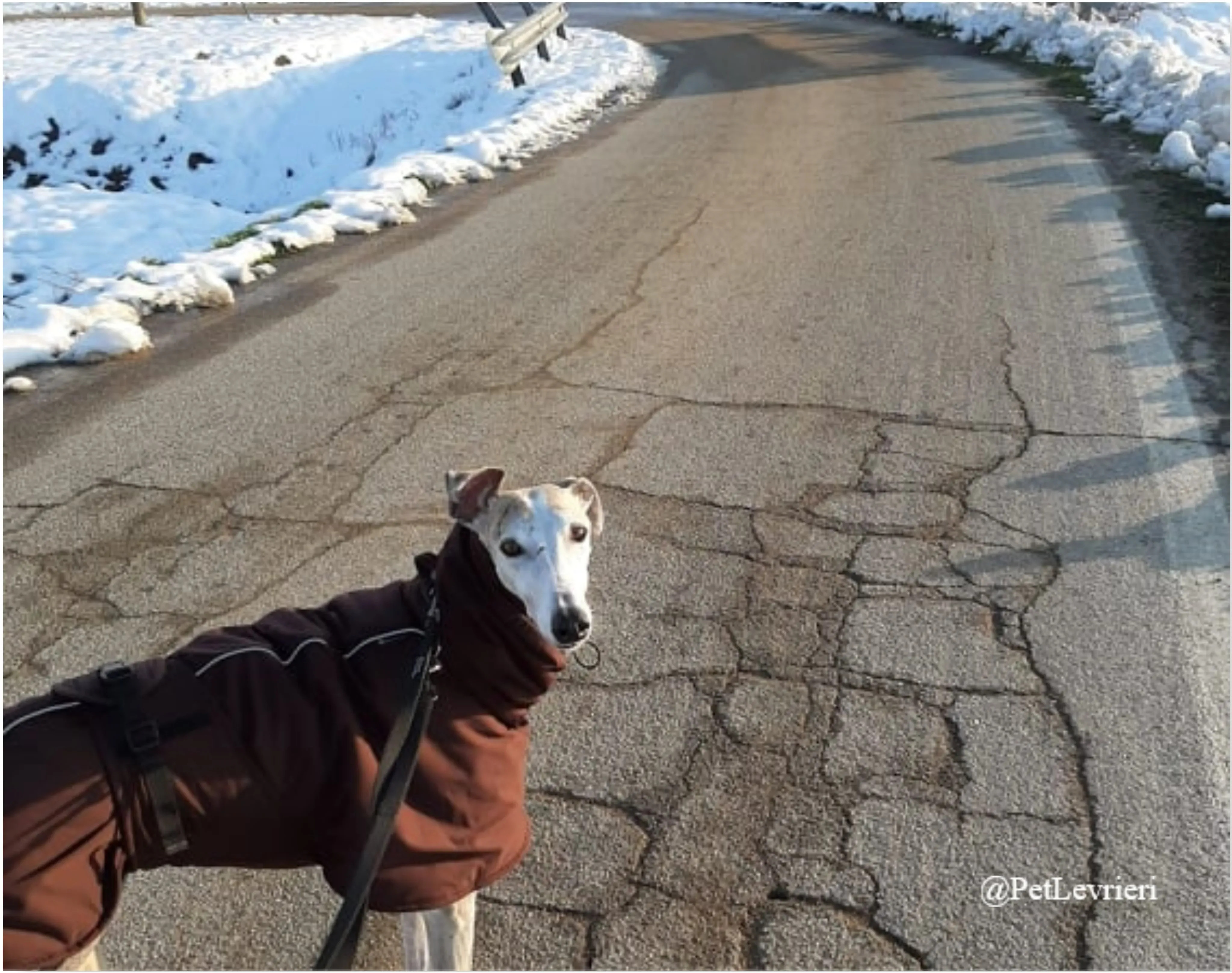 SH5New Phototastic Collage