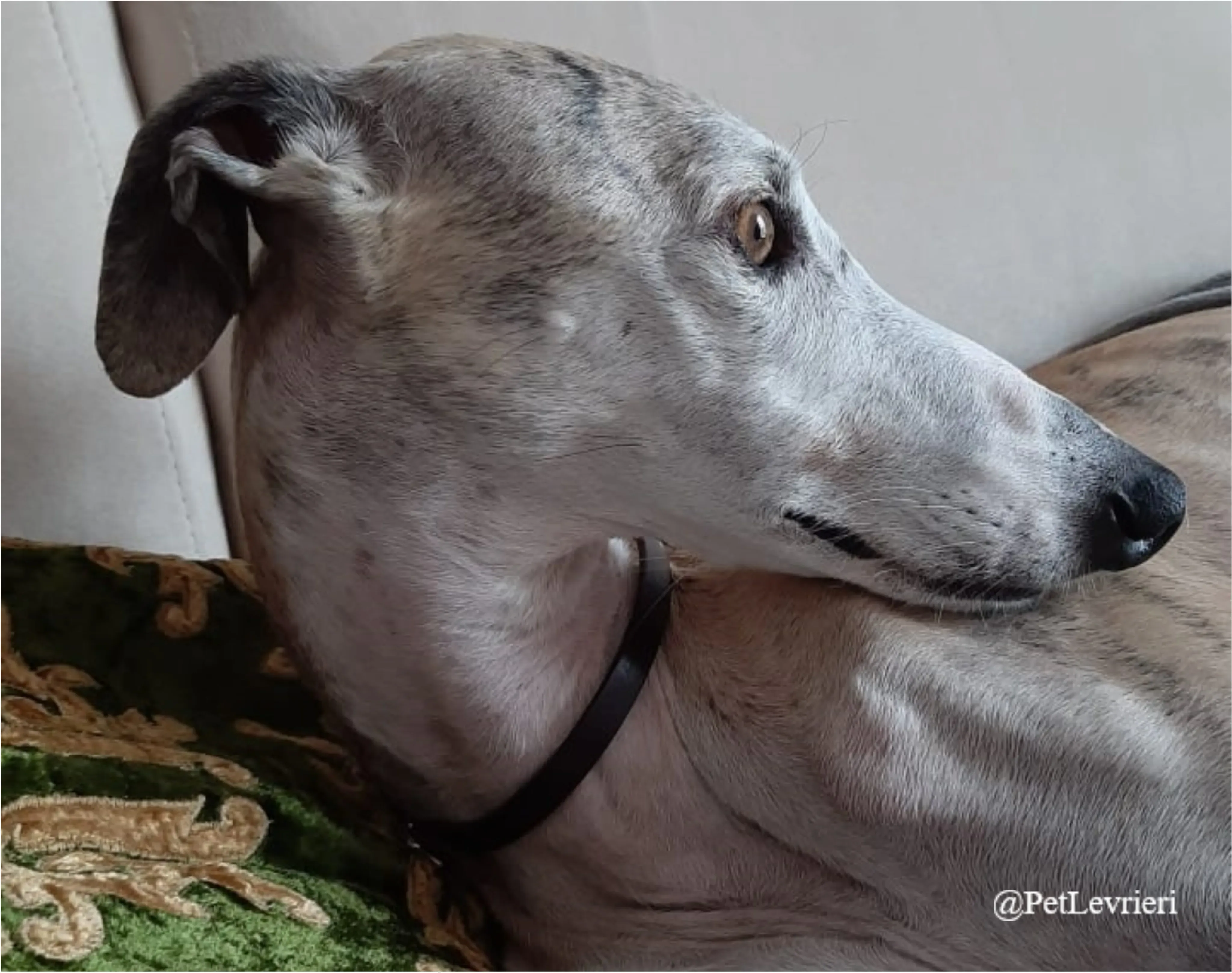 SH6New Phototastic Collage