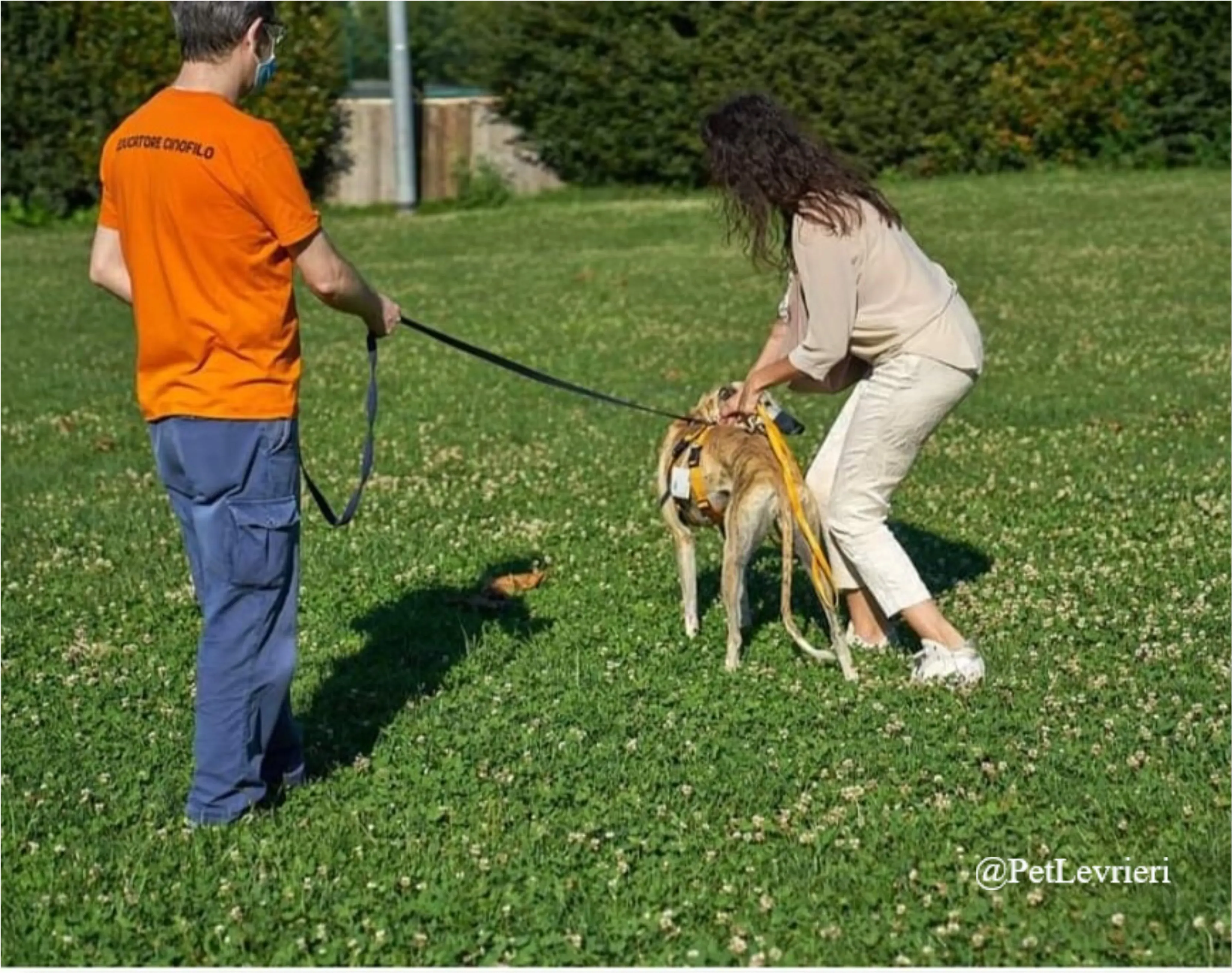 SH8New Phototastic Collage