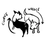 Schermata 11 2456254 alle 09 59 13