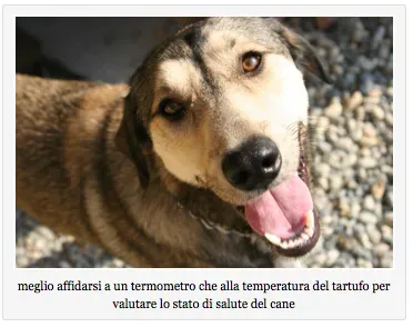 Schermata 11 2456254 alle 11.29.09