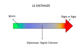 Schermata 11 2456254 alle 17.59.48