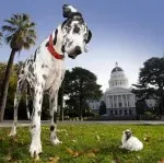 Schermata 11 2456254 alle 18.21.36