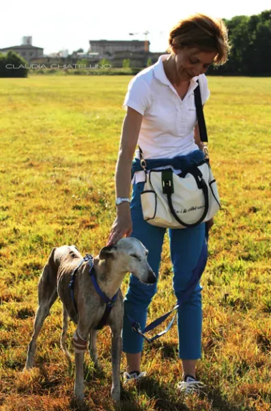 Schermata 2012 07 24 a 13.31.23