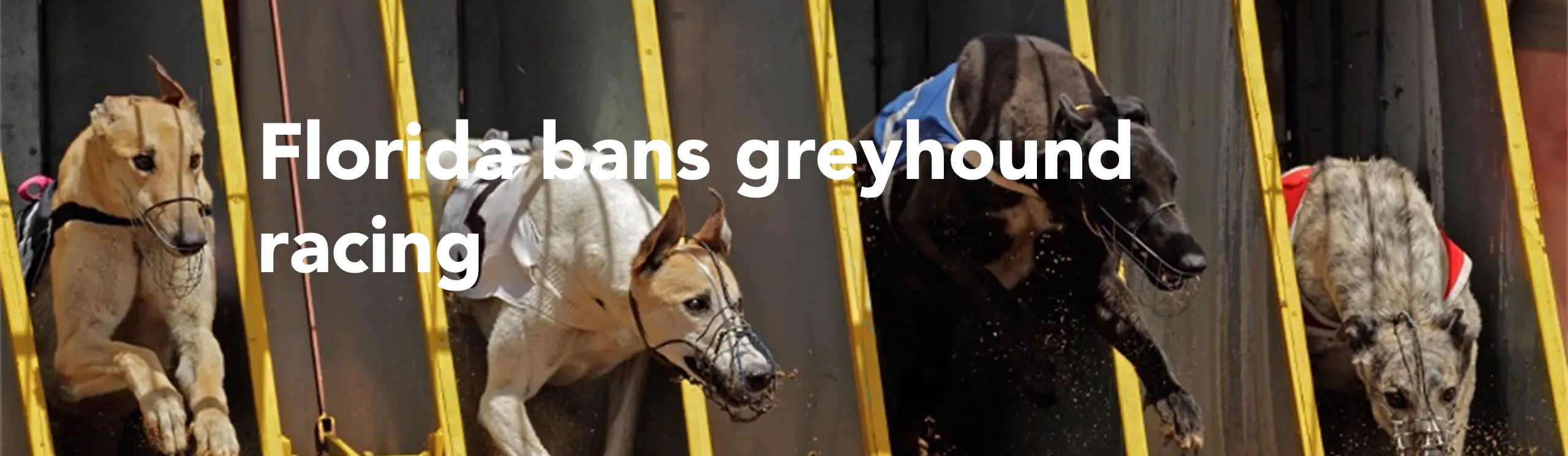 Schermata 2018 11 09 alle 07.36.38