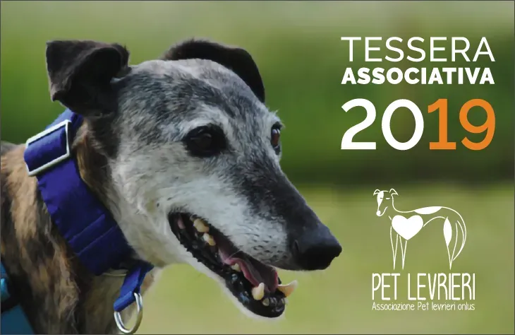 Schermata 2018 11 13 alle 14.15.02