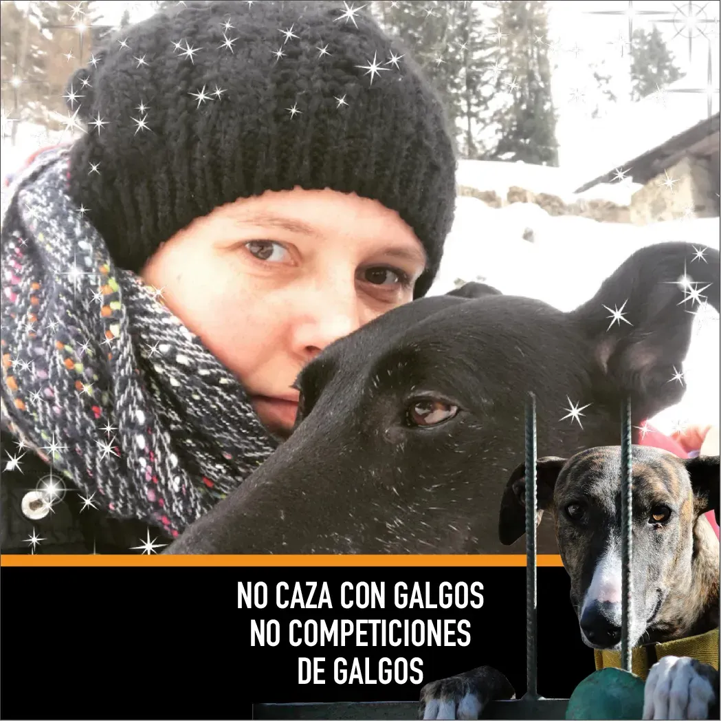 Schermata 2019 01 21 alle 09.03.51