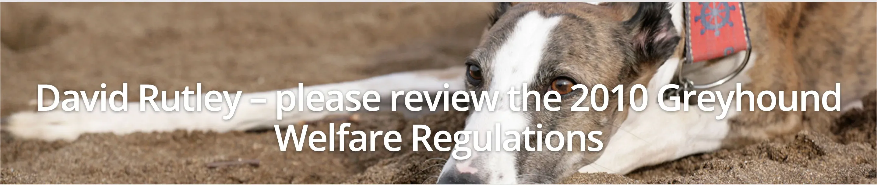 Schermata 2019 05 11 alle 07.11.01