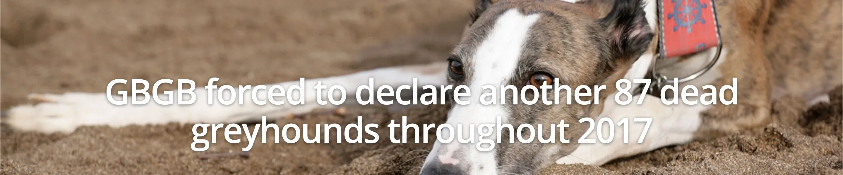 Schermata 2019 05 15 alle 20.28.44