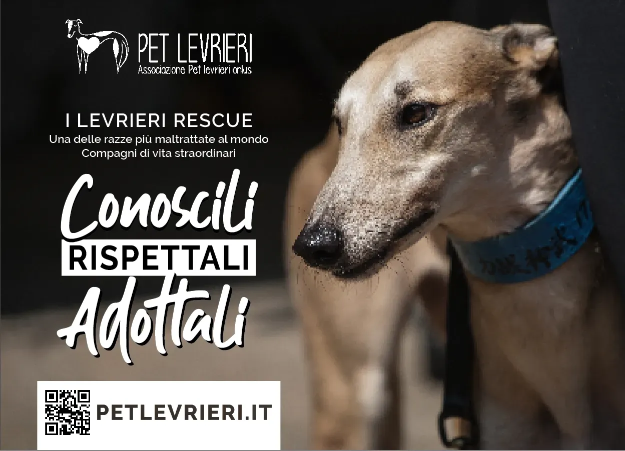 Schermata 2019 06 19 alle 17.09.17