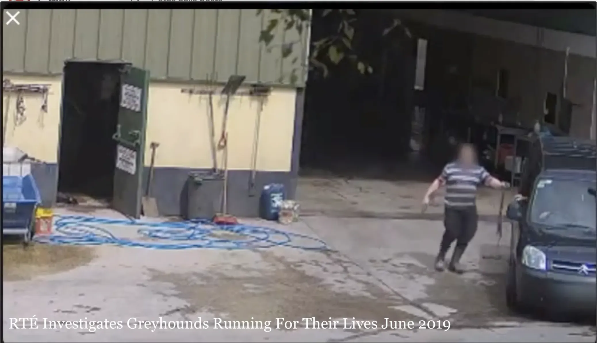 Schermata 2019 06 27 alle 16.52.25