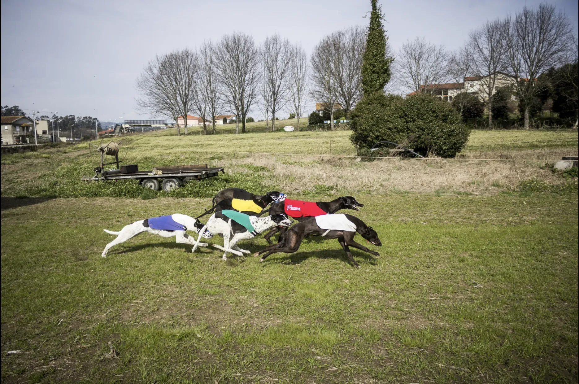 Schermata 2019 07 05 alle 12.58.22