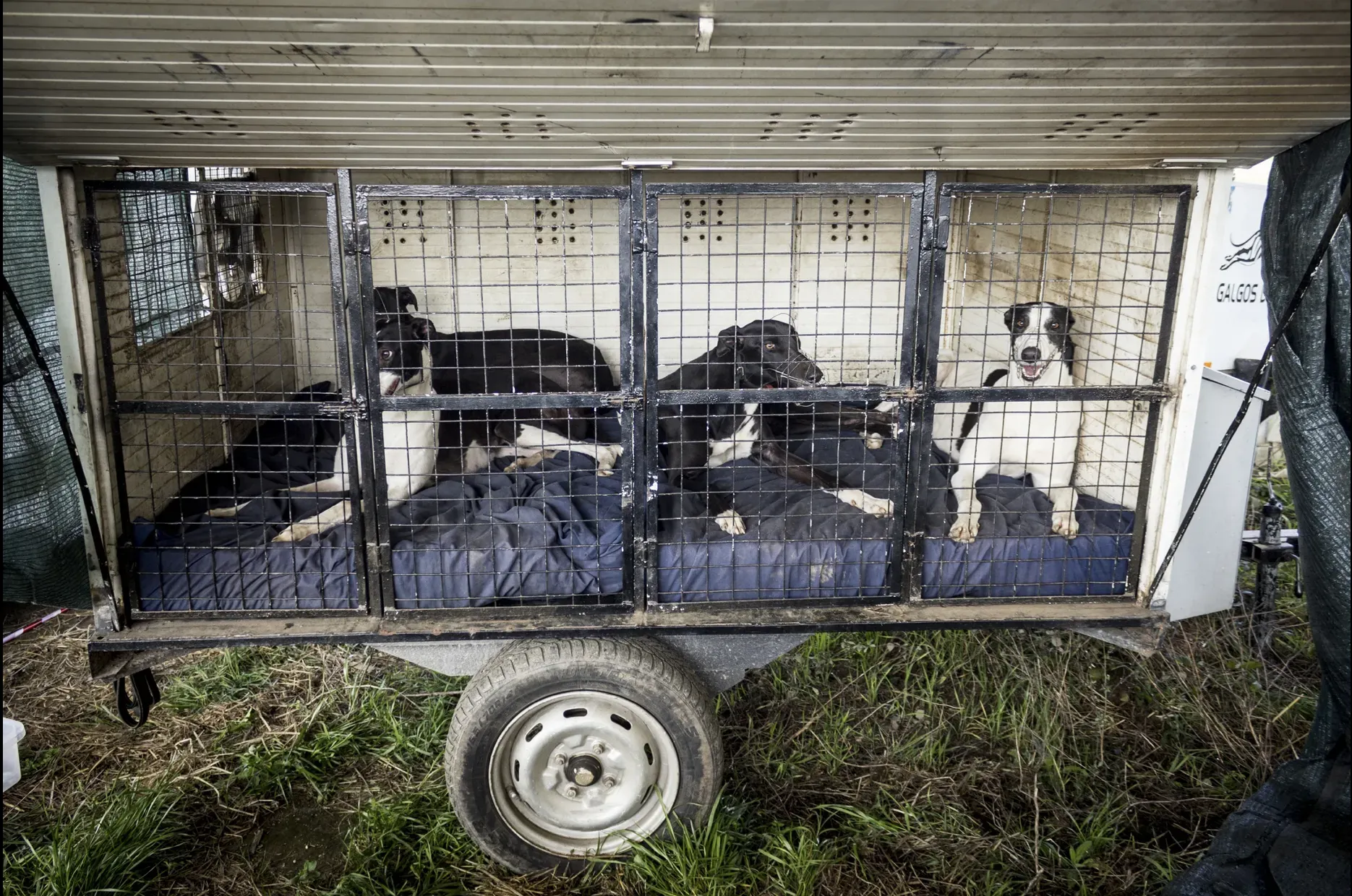 Schermata 2019 07 05 alle 12.58.34