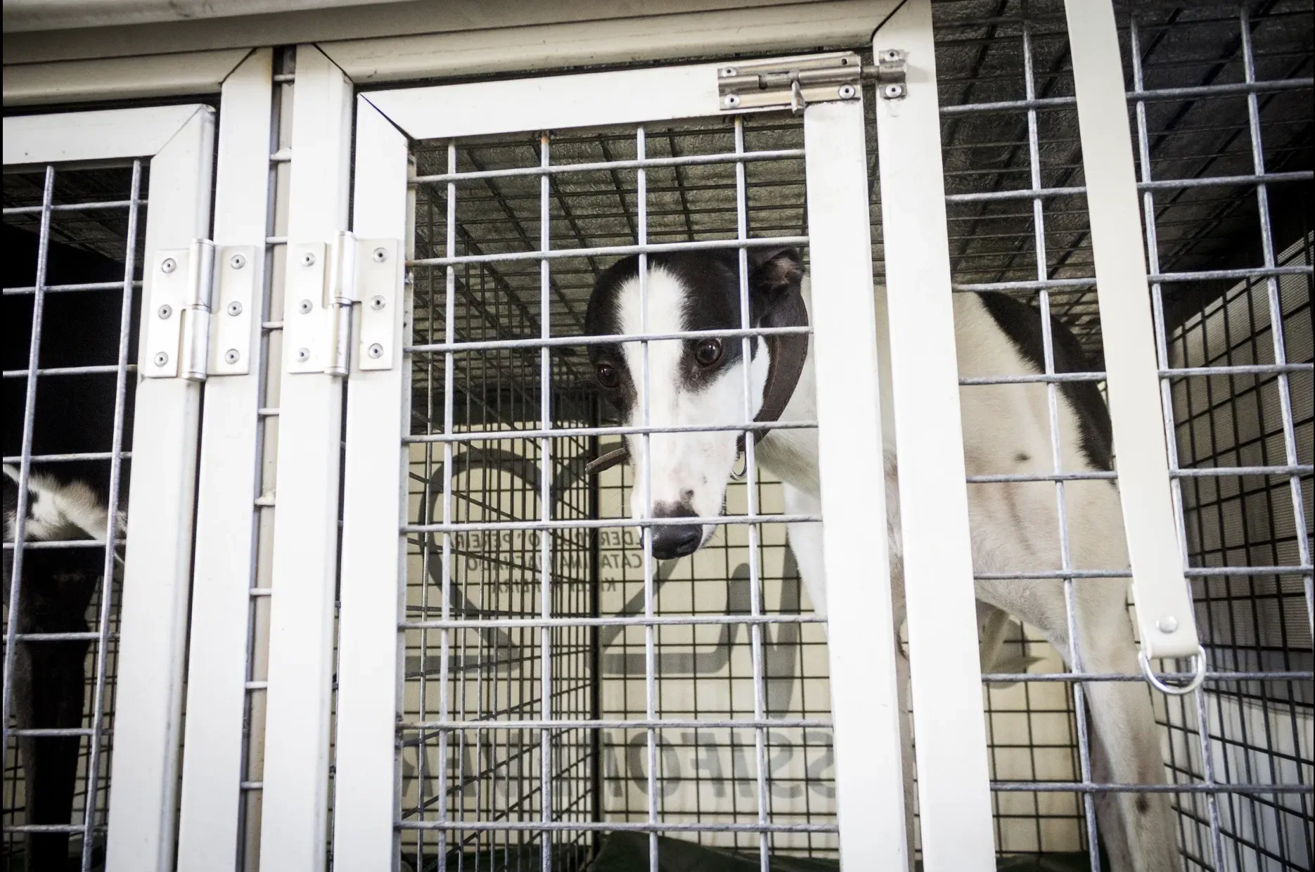 Schermata 2019 07 05 alle 12.58.53