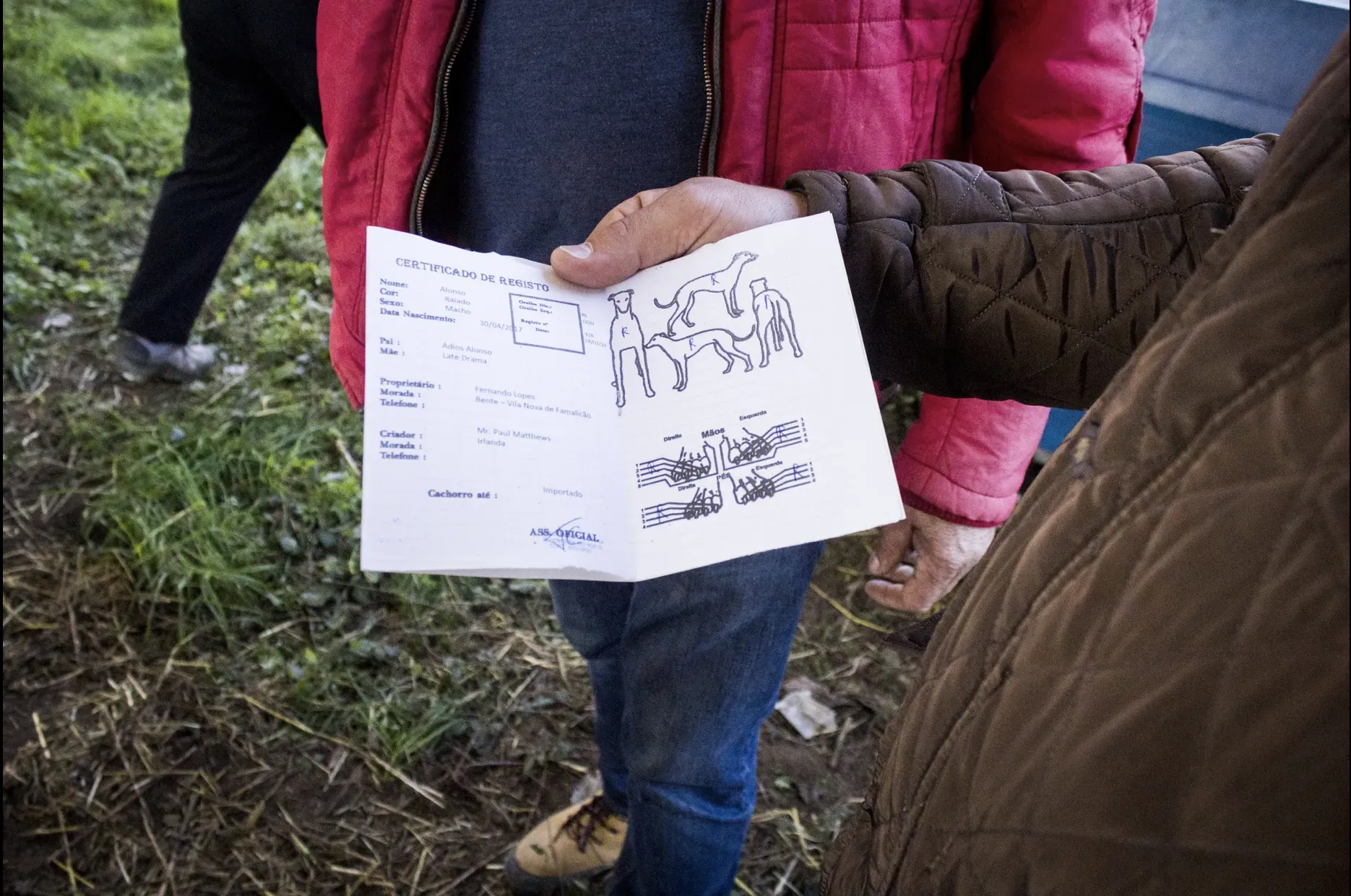 Schermata 2019 07 05 alle 12.59.02