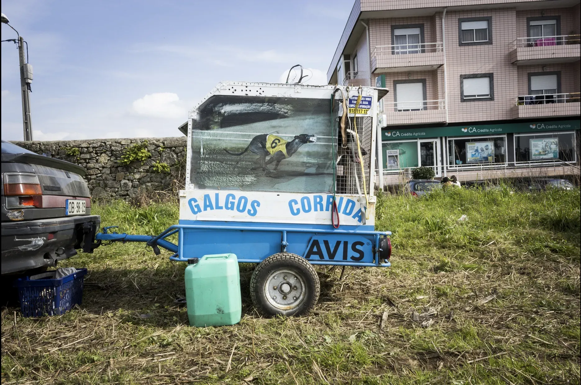 Schermata 2019 07 05 alle 12.59.13