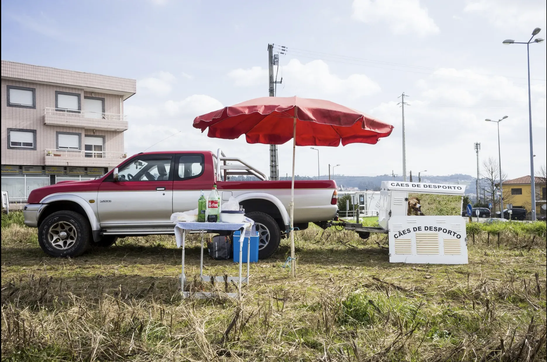 Schermata 2019 07 05 alle 12.59.17