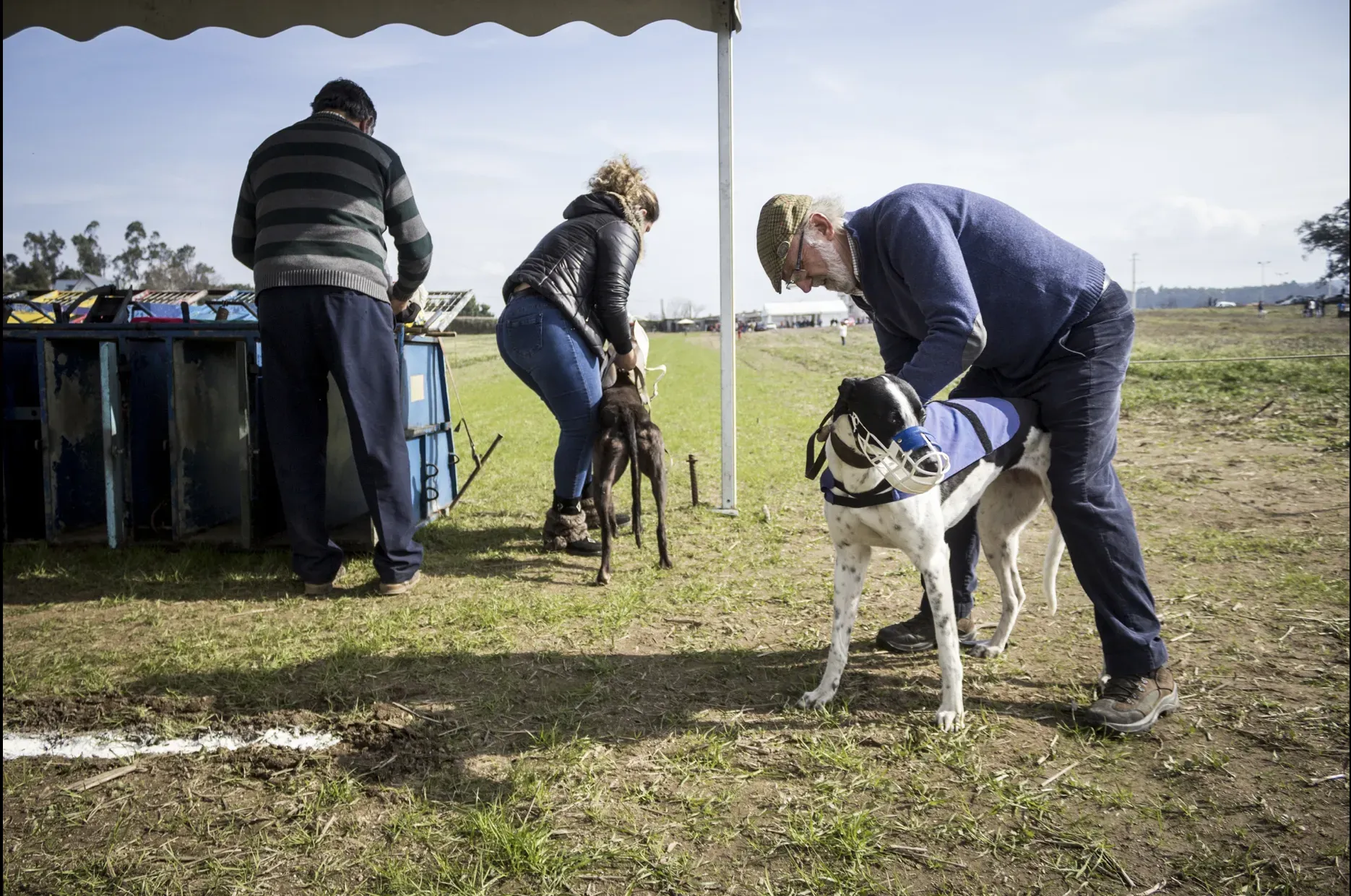 Schermata 2019 07 05 alle 12.59.24