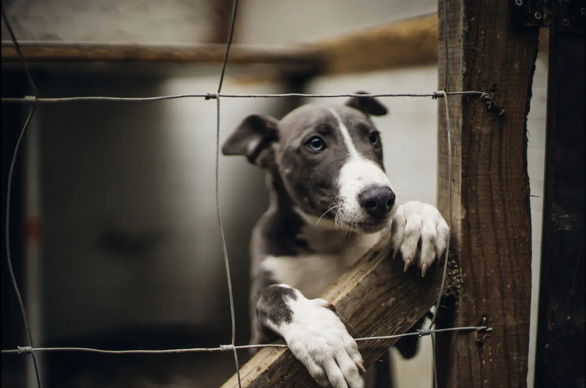 Schermata 2019 07 05 alle 12.59.36